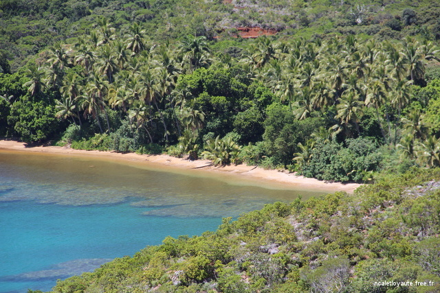 La Cote Est Kanak