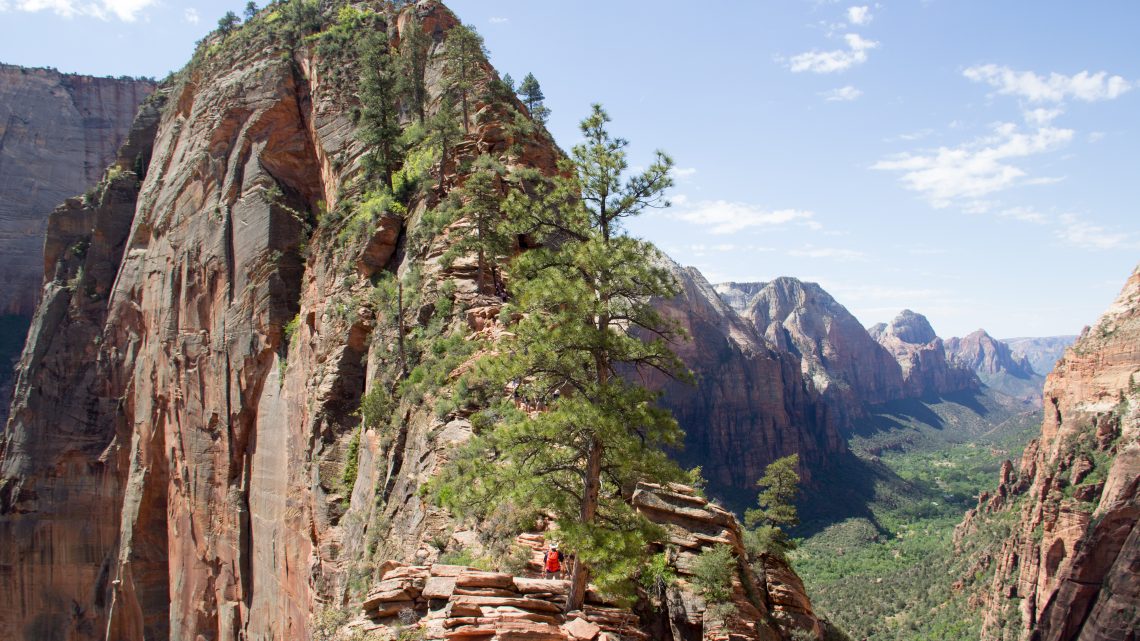 Entrée Est du Zion National Parc, Californie