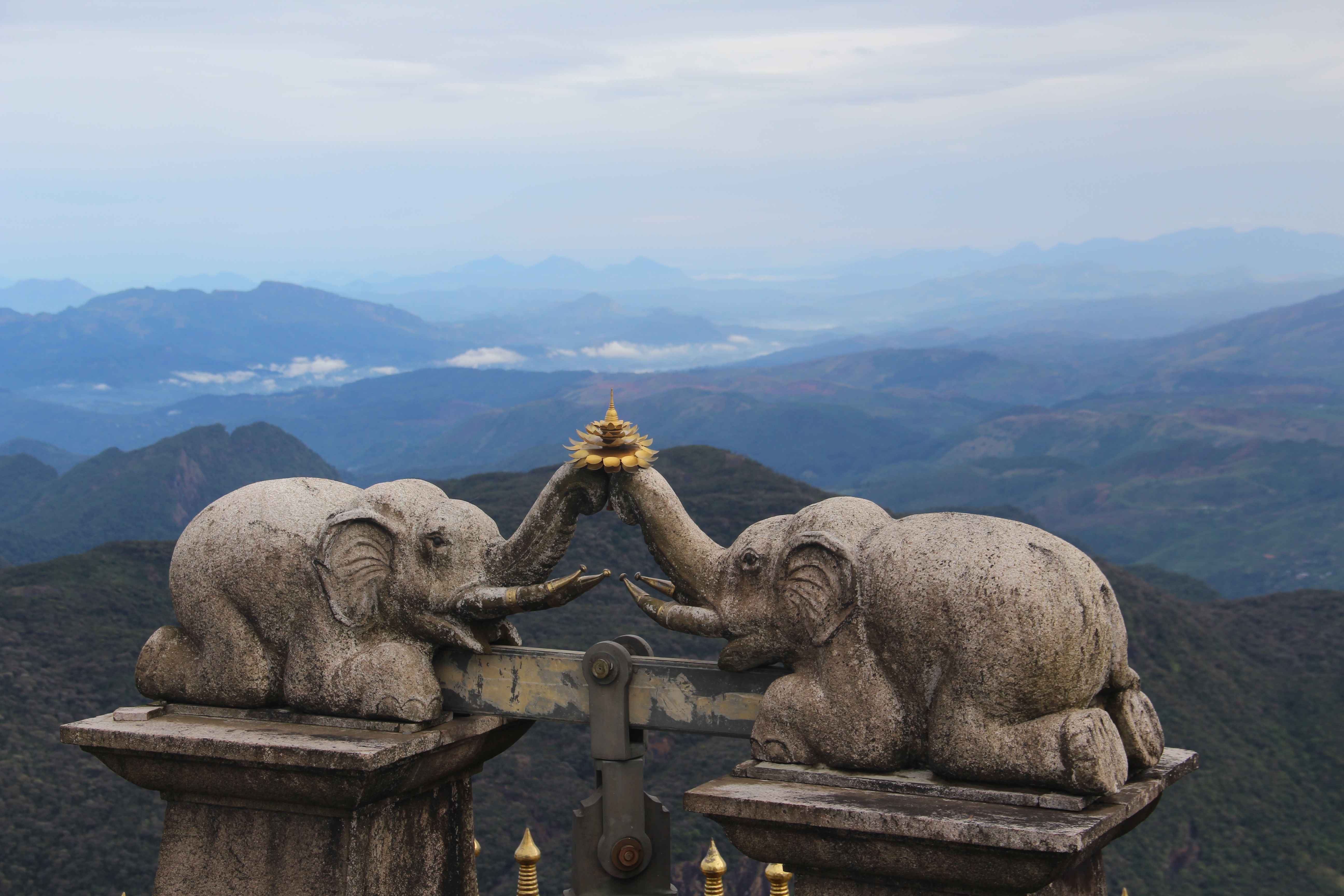 Les éléphants d’Adam’s peak