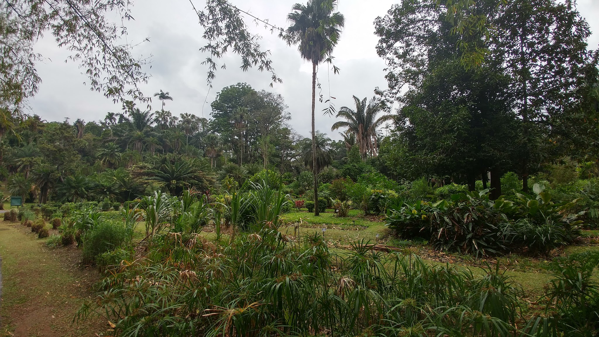 Jardin botanique de Kandy