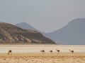From La Paz to Salar d’Uyuni