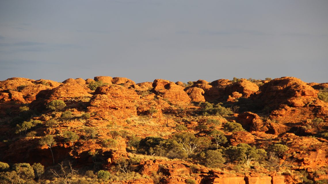 Kings Canyon et le pigeon spinifex